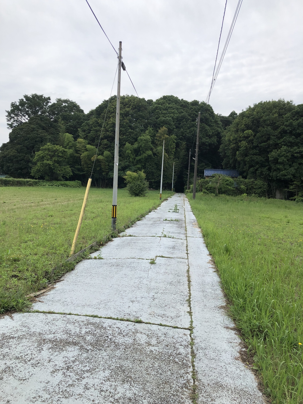 【新座ラン】新座温泉かスパジャポ起点の写真23