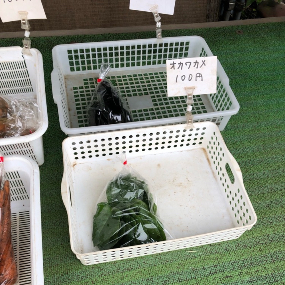 【新座ラン】新座温泉かスパジャポ起点の写真25