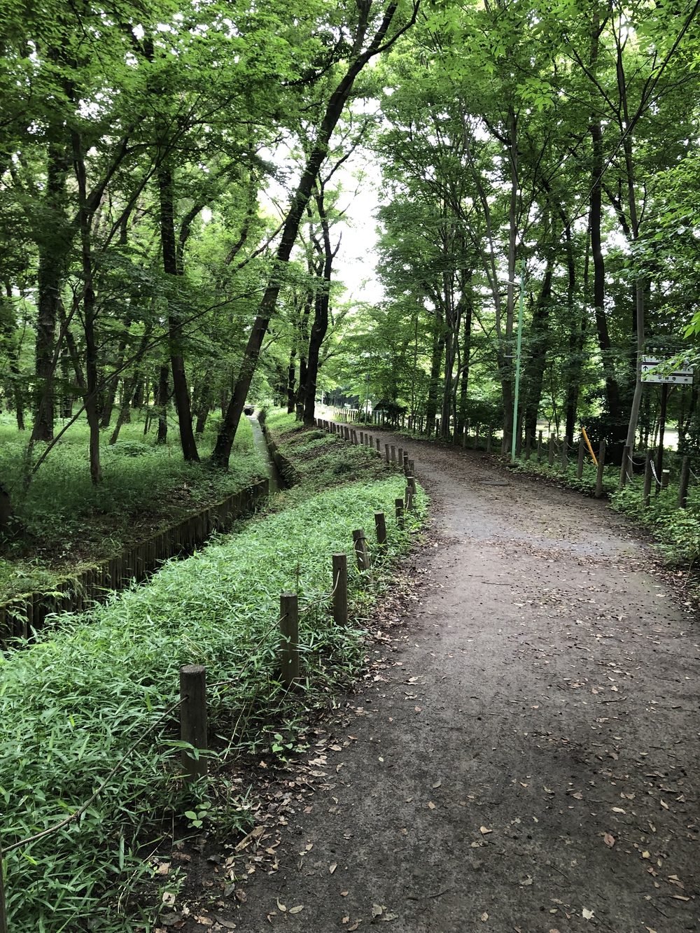 【新座ラン】新座温泉かスパジャポ起点の写真26