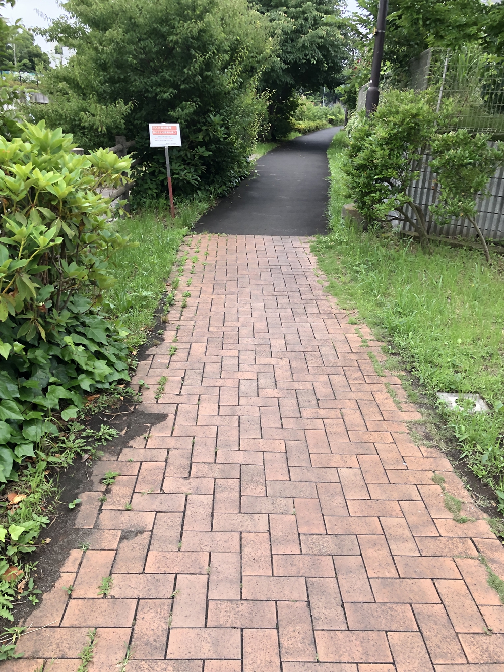 【新座ラン】新座温泉かスパジャポ起点の写真27