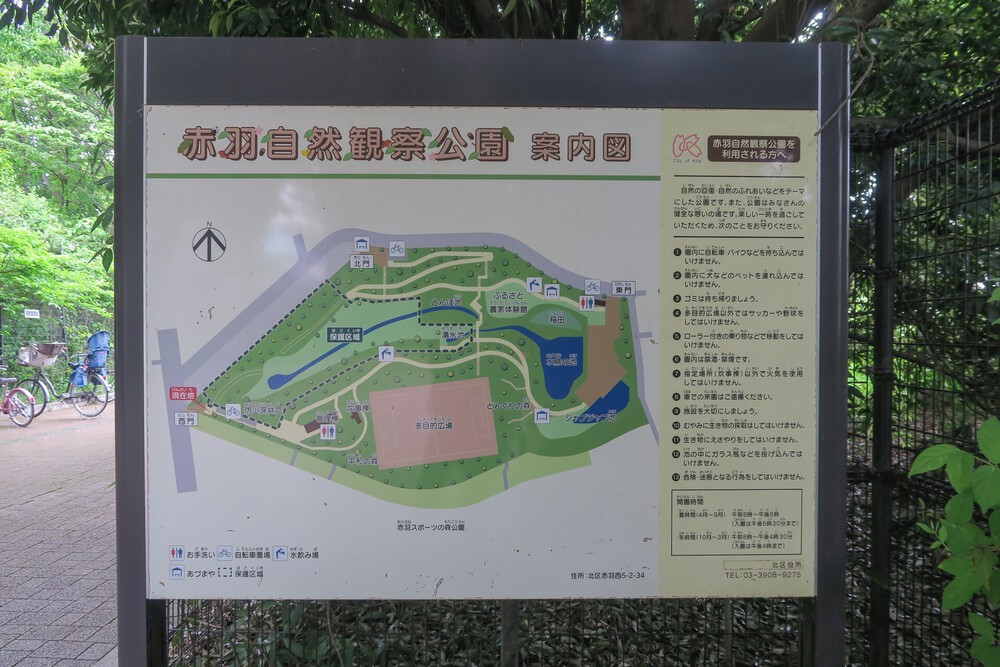 赤羽自然観察公園ランの写真3