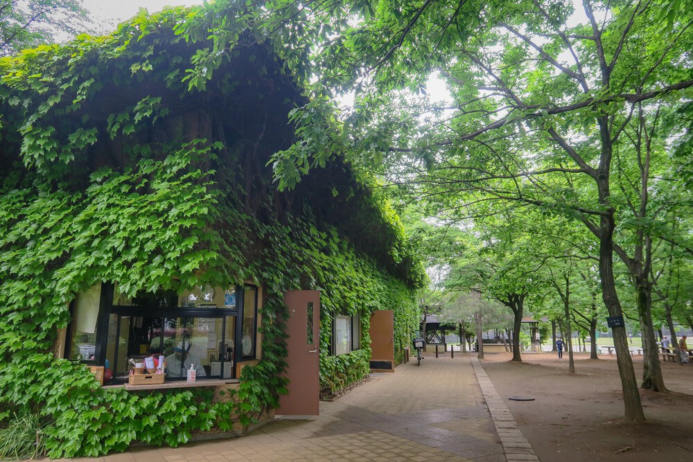 赤羽自然観察公園ランの写真4