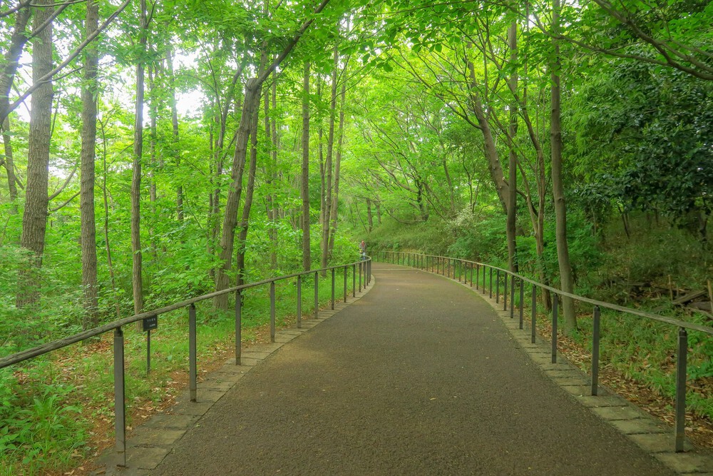 赤羽自然観察公園ランの写真5