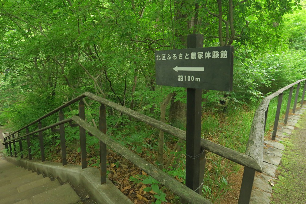 赤羽自然観察公園ランの写真6