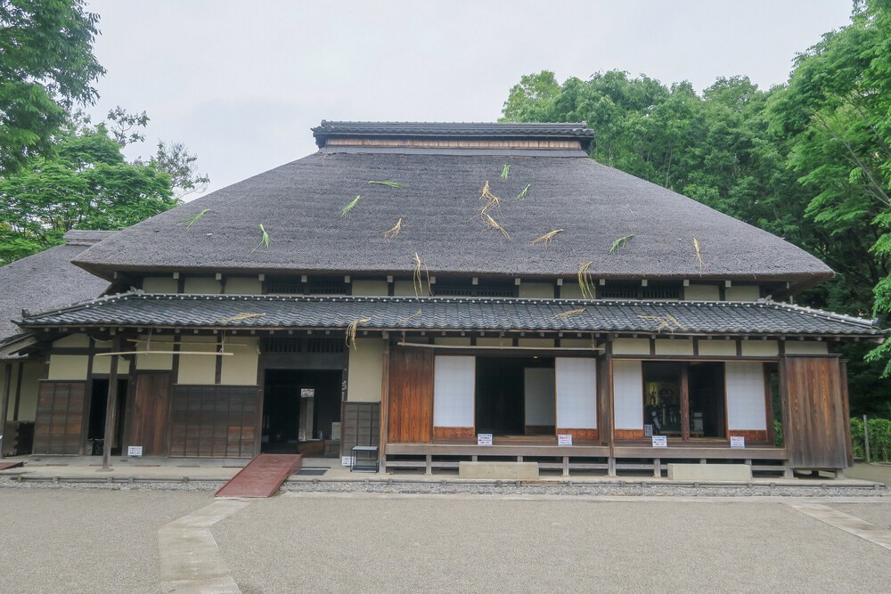 赤羽自然観察公園ランの写真7