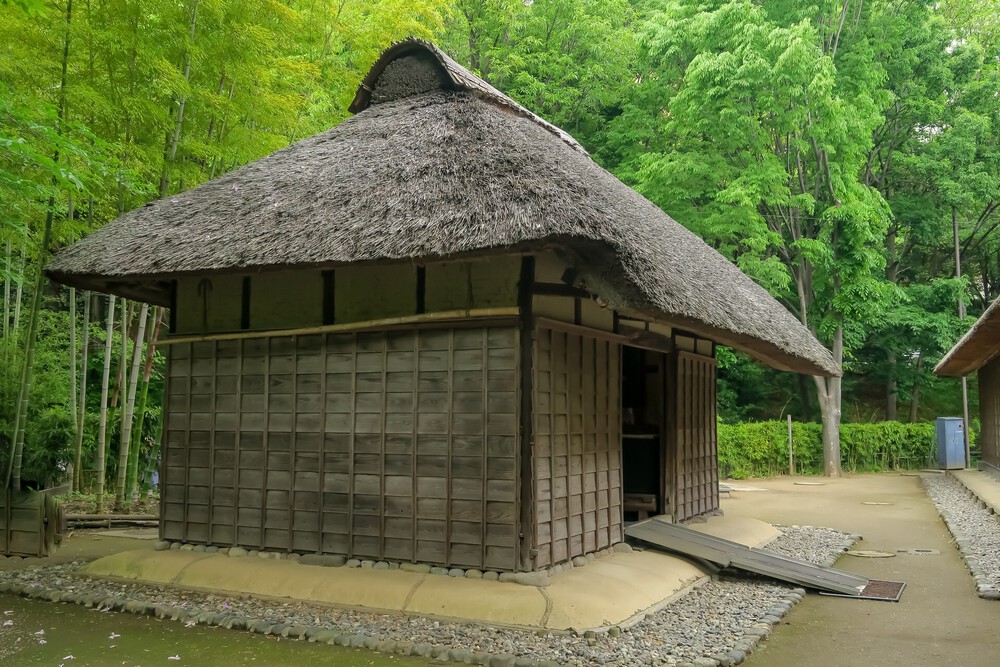 赤羽自然観察公園ランの写真8