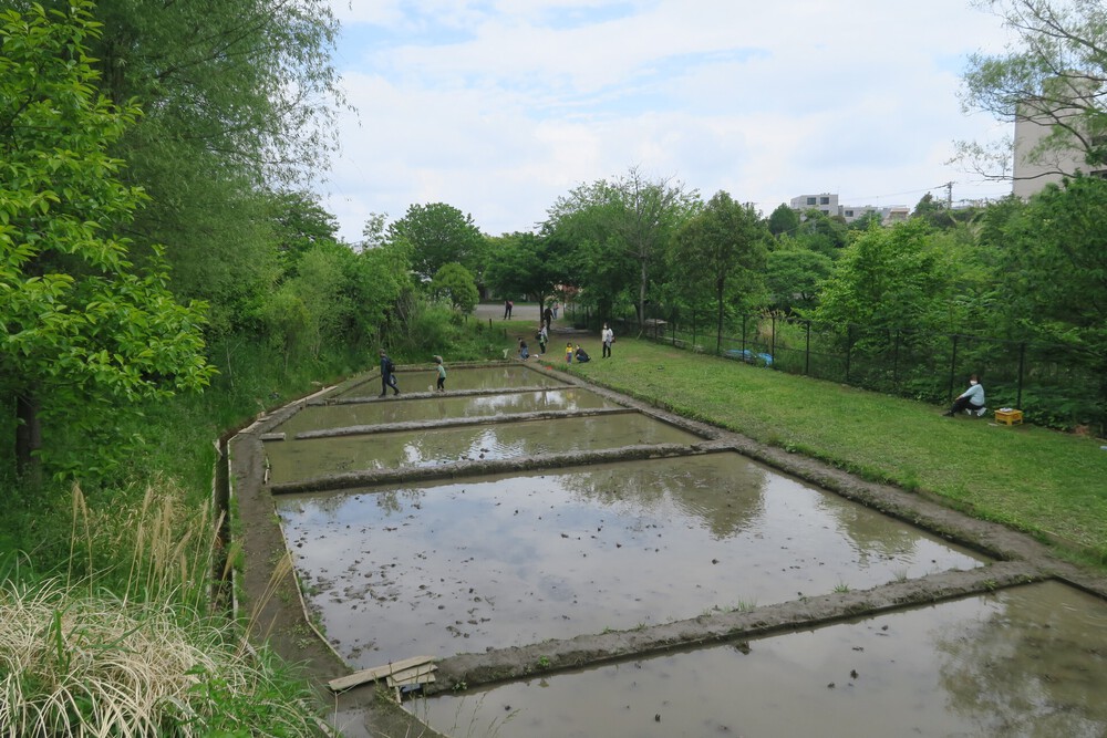赤羽自然観察公園ランの写真10