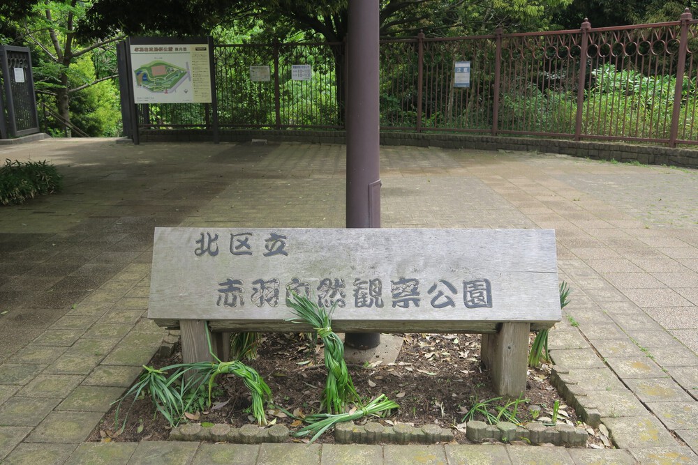 赤羽自然観察公園ランの写真11