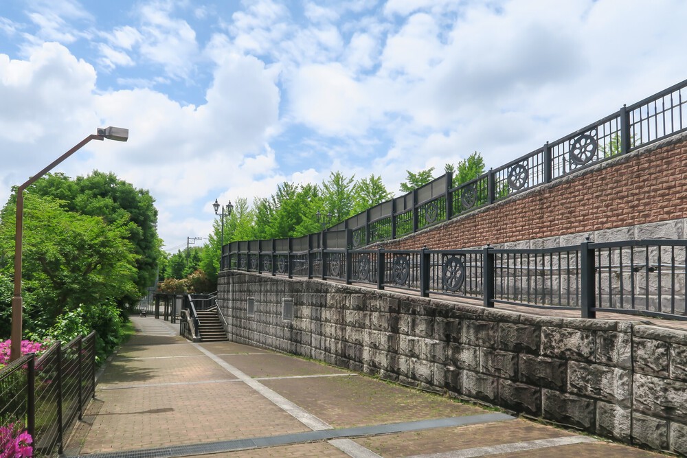 赤羽自然観察公園ランの写真12