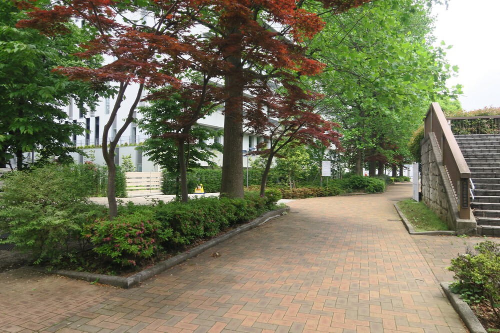 赤羽自然観察公園ランの写真13