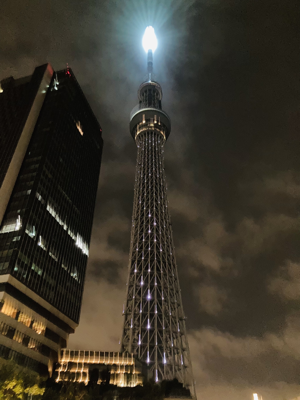 東京PTP（Pole to Pole）の写真7