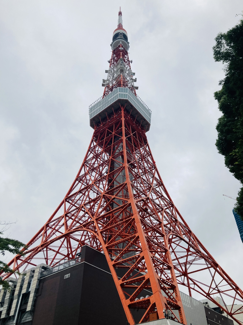 東京PTP（Pole to Pole）の写真15