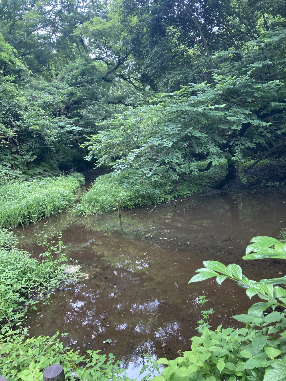 案内もあり走りやすいコースの写真3