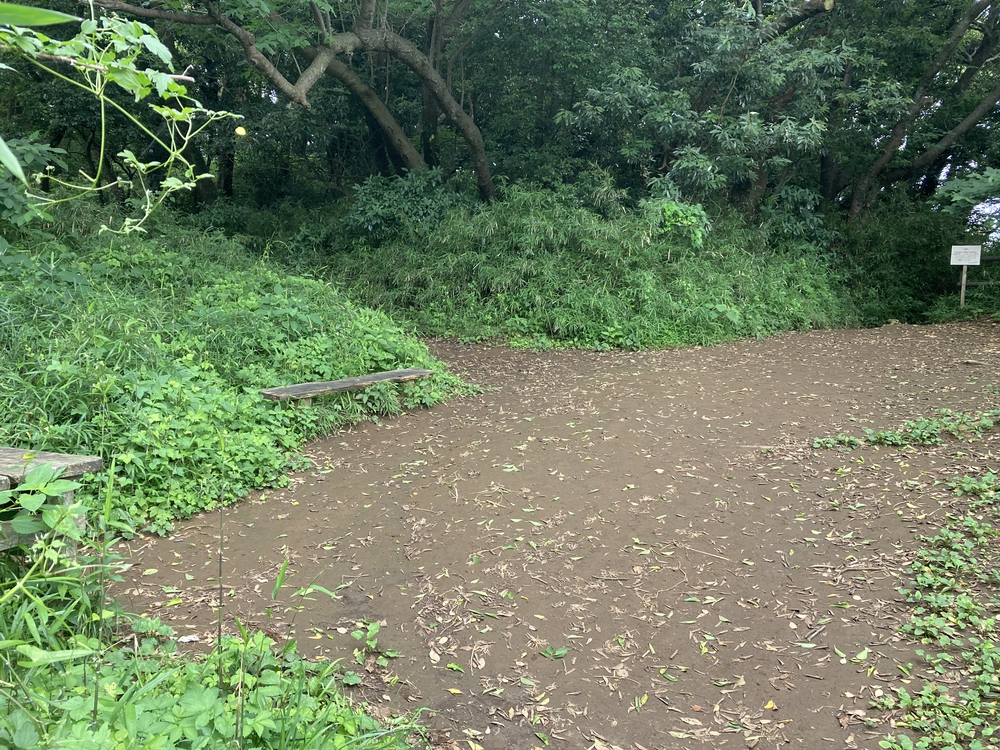 案内もあり走りやすいコースの写真5