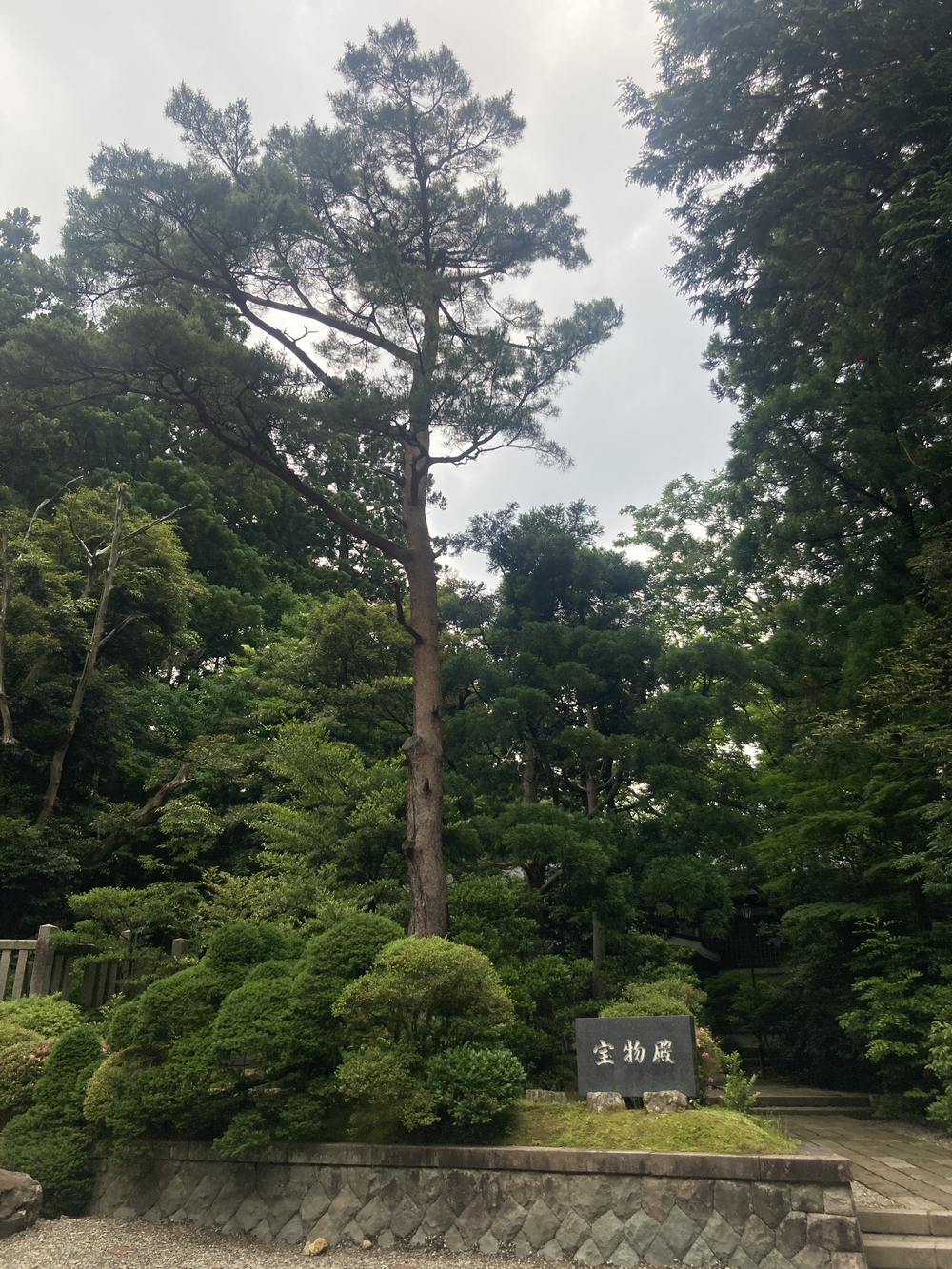燕三条駅〜弥彦公園〜弥彦神社(約15km)の写真3