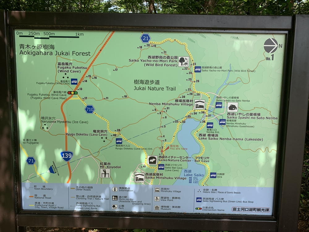 天然クーラー 青木ヶ原樹海の写真3