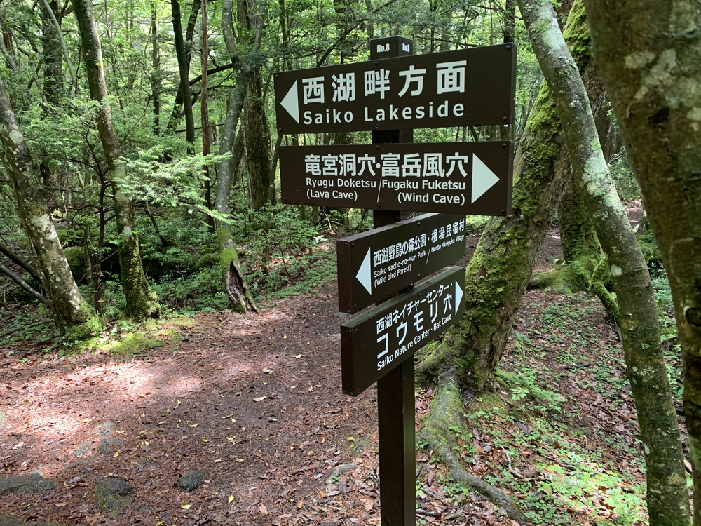 天然クーラー 青木ヶ原樹海の写真5