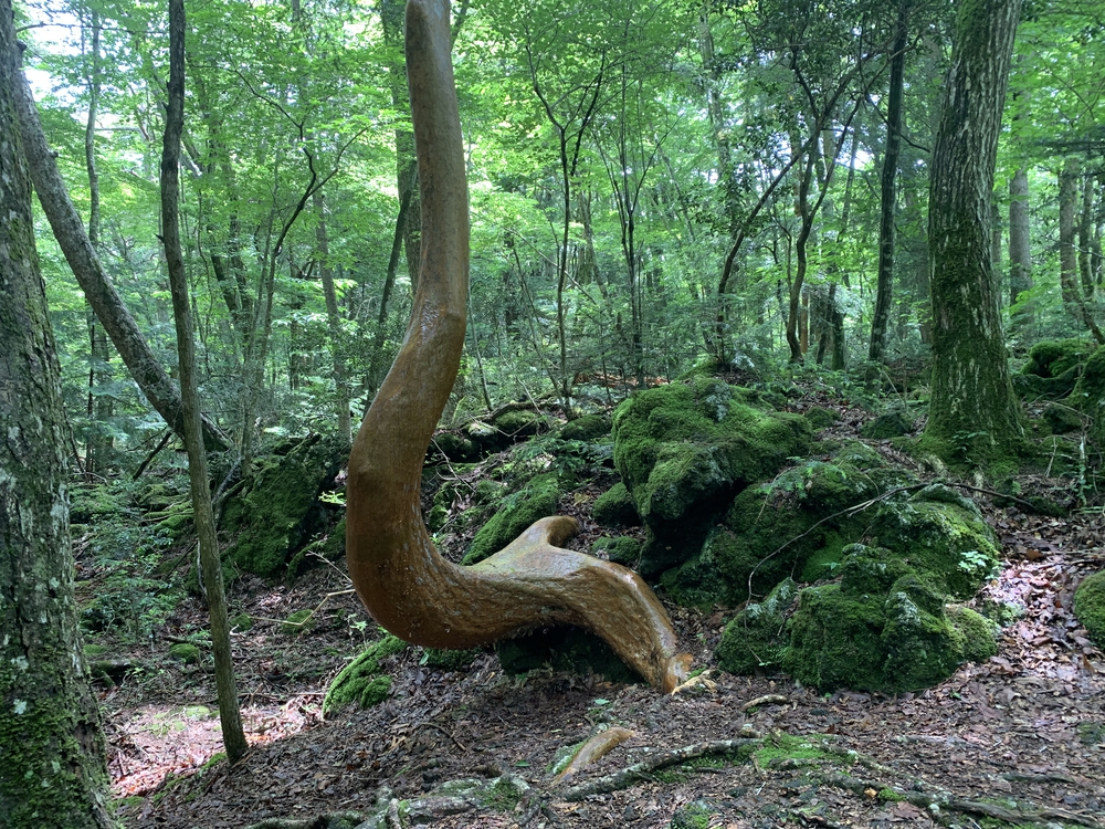 天然クーラー 青木ヶ原樹海の写真9