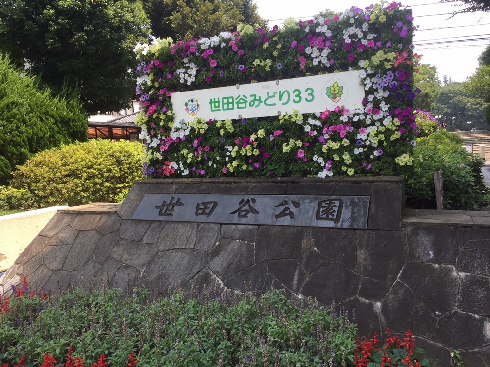 夏を満喫！自由が丘からJAMSTAND COFFEEをめざすRUNTRIP！の写真12