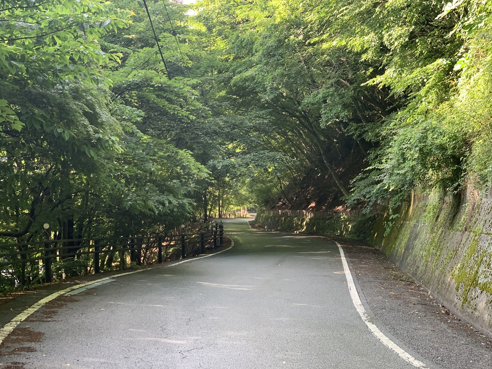 本栖湖 周回 11kmの写真4