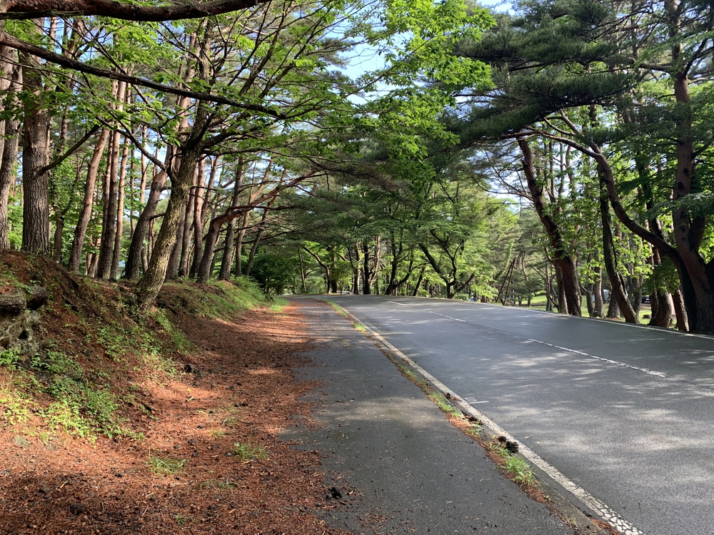 本栖湖 周回 11kmの写真9