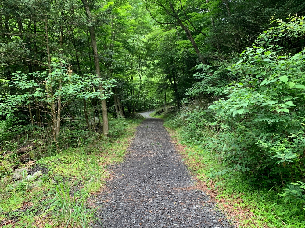 毛無山～大見岳～タカデッキ～雨ケ岳 縦走の写真3