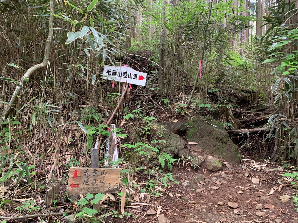 毛無山～大見岳～タカデッキ～雨ケ岳 縦走の写真4