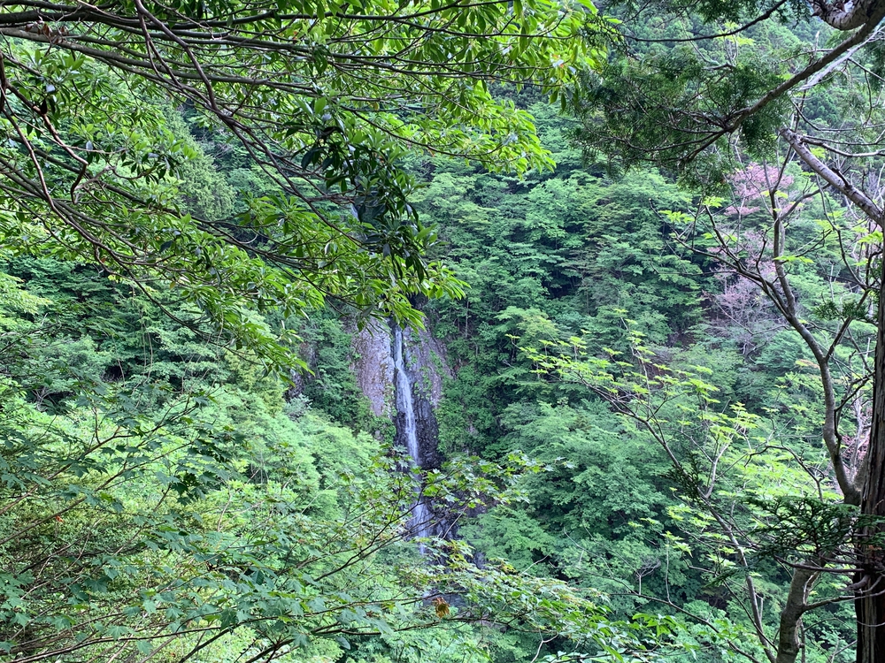 毛無山～大見岳～タカデッキ～雨ケ岳 縦走の写真5