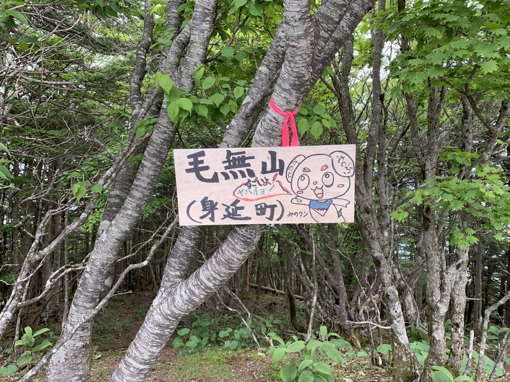 毛無山～大見岳～タカデッキ～雨ケ岳 縦走の写真7