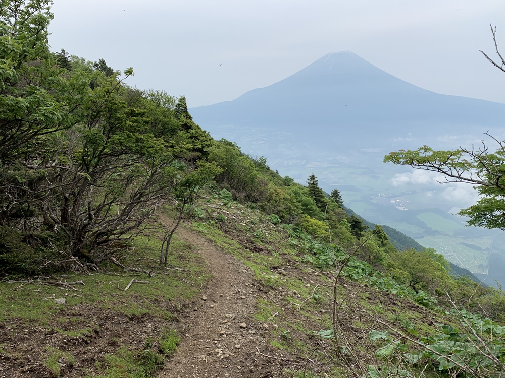 毛無山～大見岳～タカデッキ～雨ケ岳 縦走の写真8