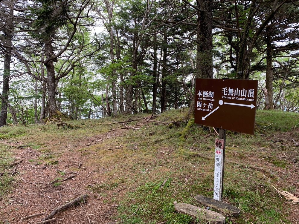 毛無山～大見岳～タカデッキ～雨ケ岳 縦走の写真9