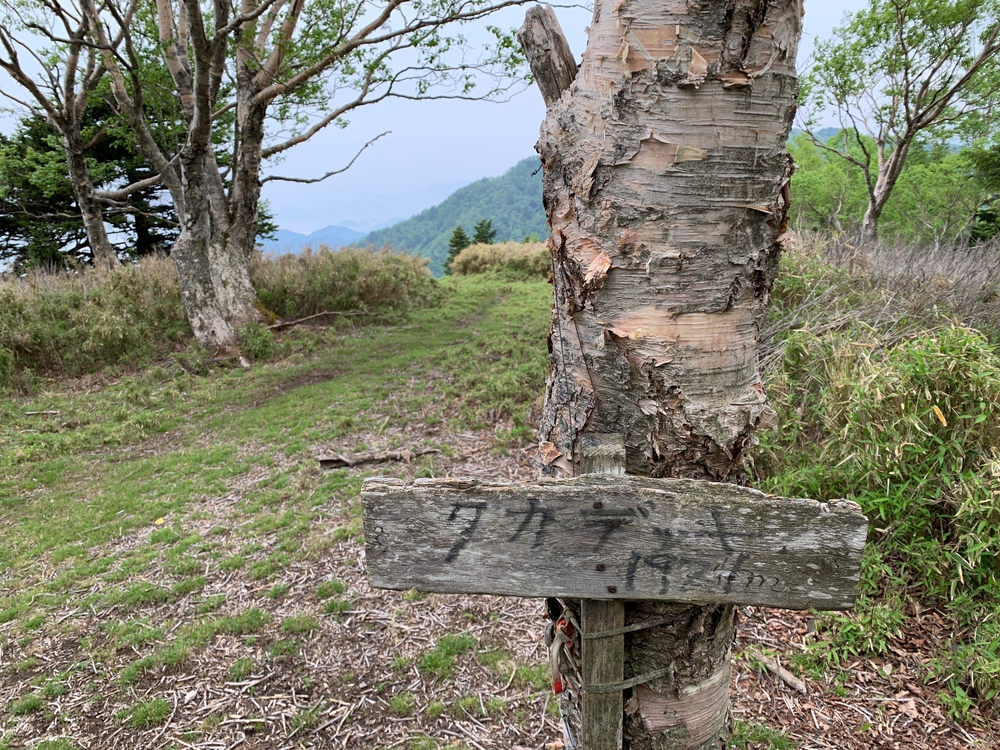 毛無山～大見岳～タカデッキ～雨ケ岳 縦走の写真10