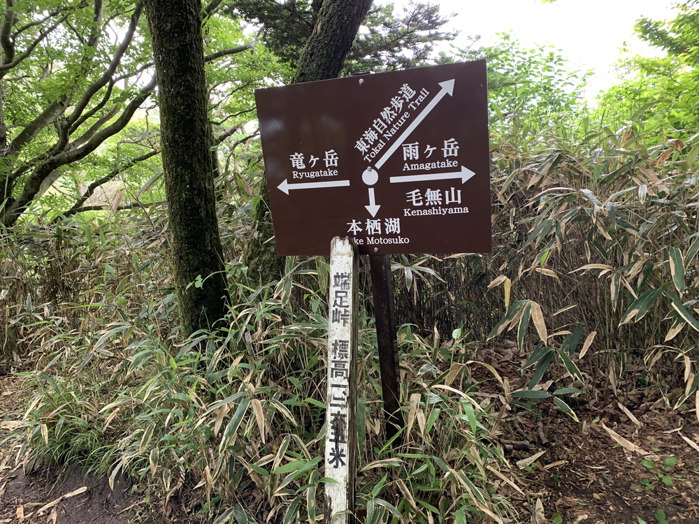 毛無山～大見岳～タカデッキ～雨ケ岳 縦走の写真13