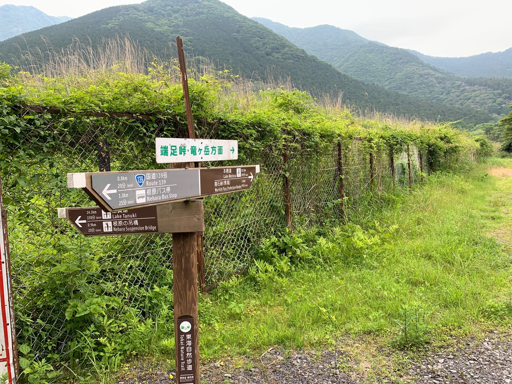毛無山～大見岳～タカデッキ～雨ケ岳 縦走の写真16