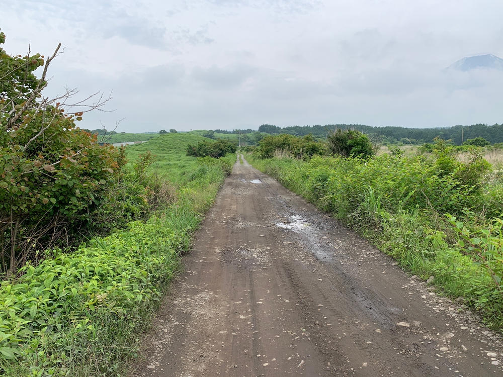毛無山～大見岳～タカデッキ～雨ケ岳 縦走の写真17