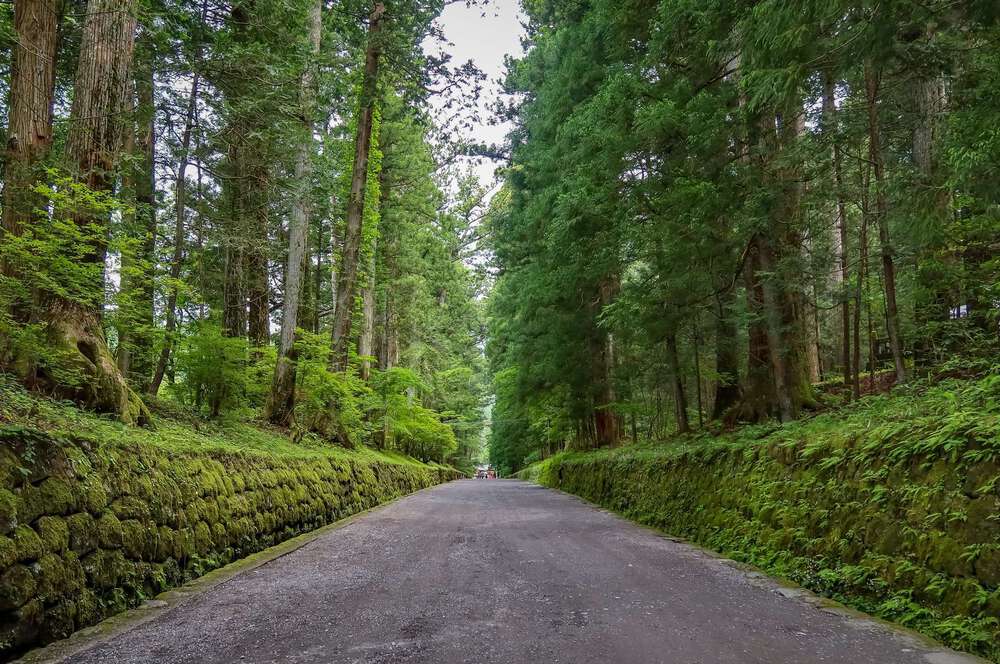 日光東照宮と瀧尾神社と美味しいものの写真4
