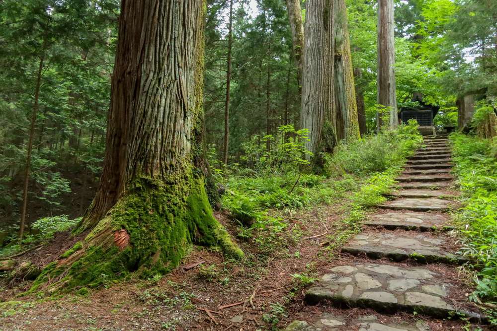 日光東照宮と瀧尾神社と美味しいものの写真5