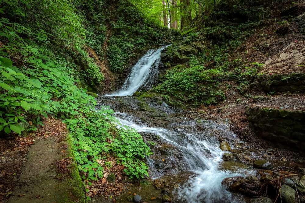 日光東照宮と瀧尾神社と美味しいものの写真7