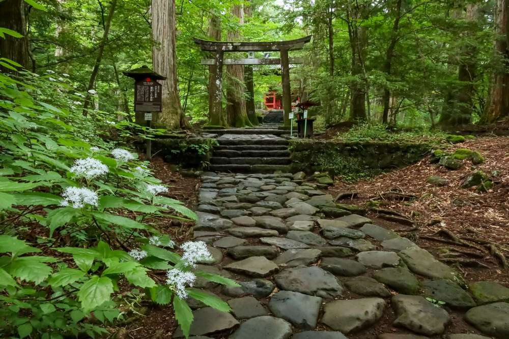 日光東照宮と瀧尾神社と美味しいものの写真8