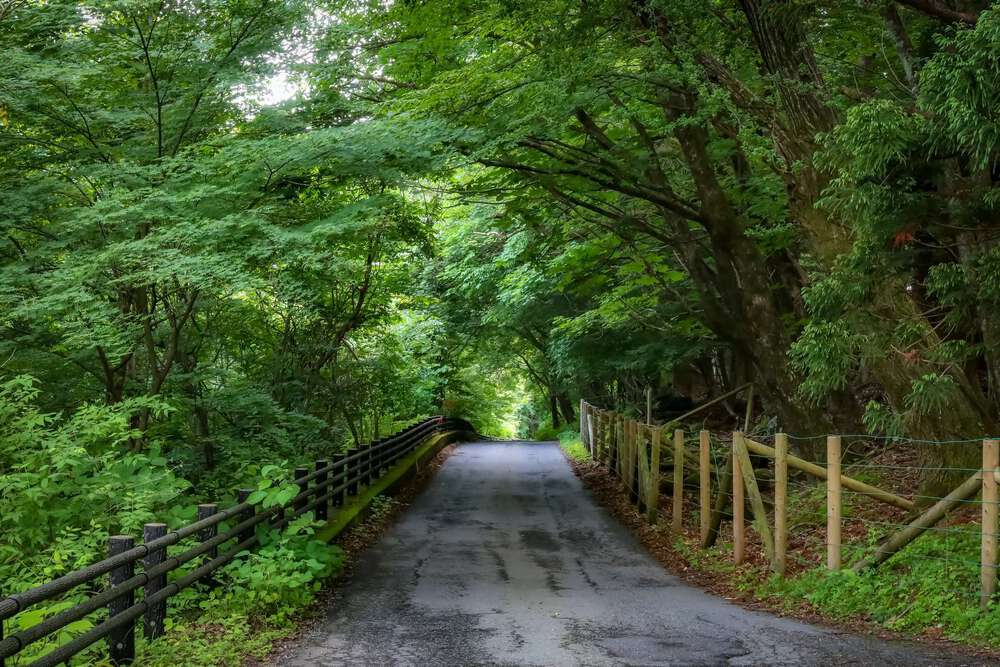 日光東照宮と瀧尾神社と美味しいものの写真9