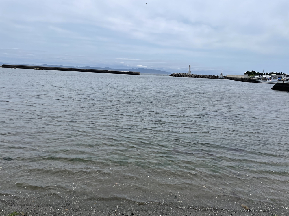 歴史を堪能しつつ自然も楽しめる！！の写真3