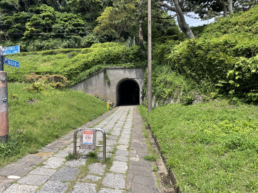 歴史を堪能しつつ自然も楽しめる！！の写真5