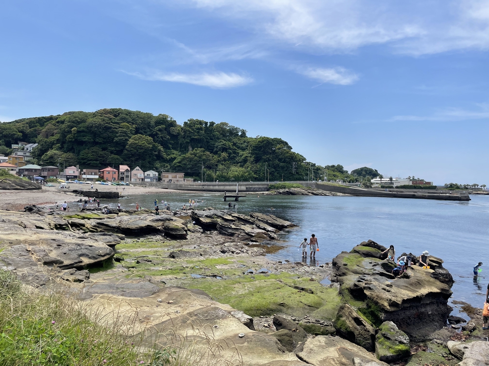 歴史を堪能しつつ自然も楽しめる！！の写真7