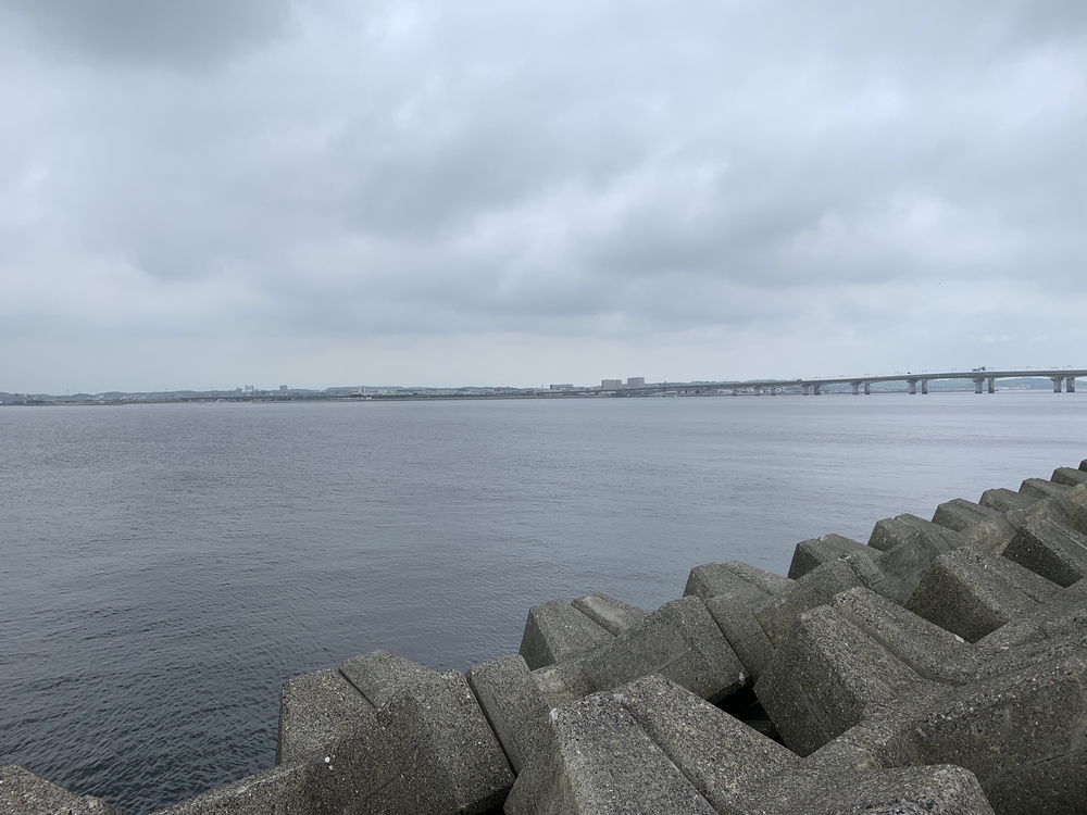 帰省ラン・おまけ； セントレアでも走る！の写真7