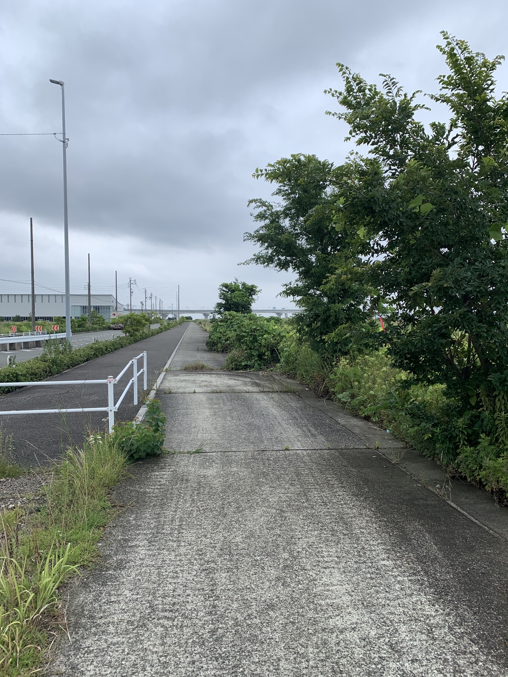 帰省ラン・おまけ； セントレアでも走る！の写真8