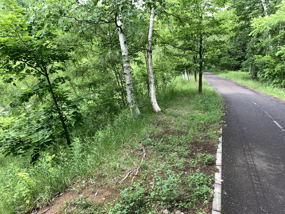 帰省ラン：札幌／豊平川〜創成川上流〜ビール園の写真4