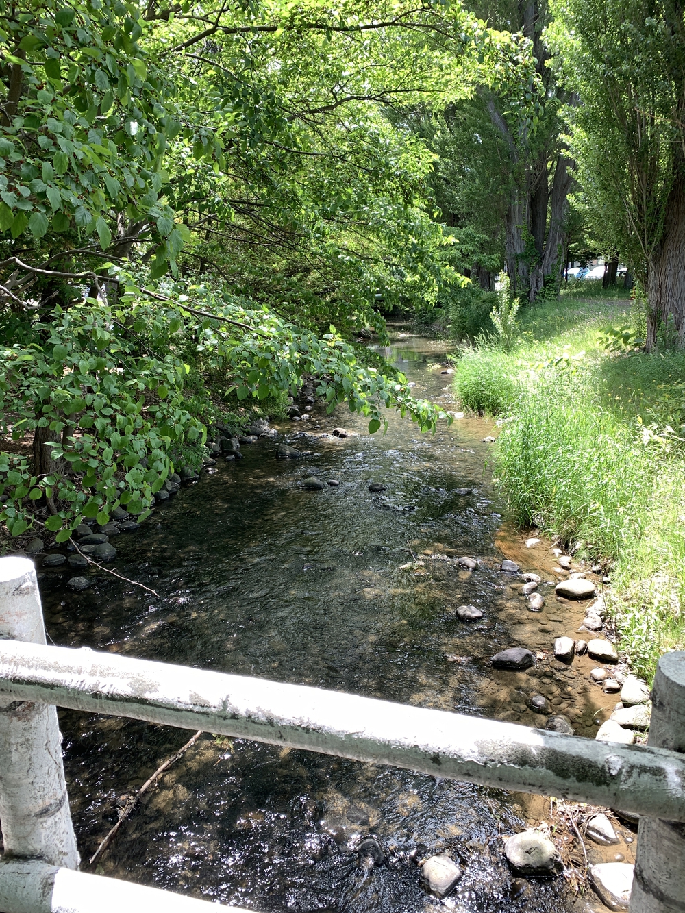 帰省ラン：札幌／豊平川〜創成川上流〜ビール園の写真8