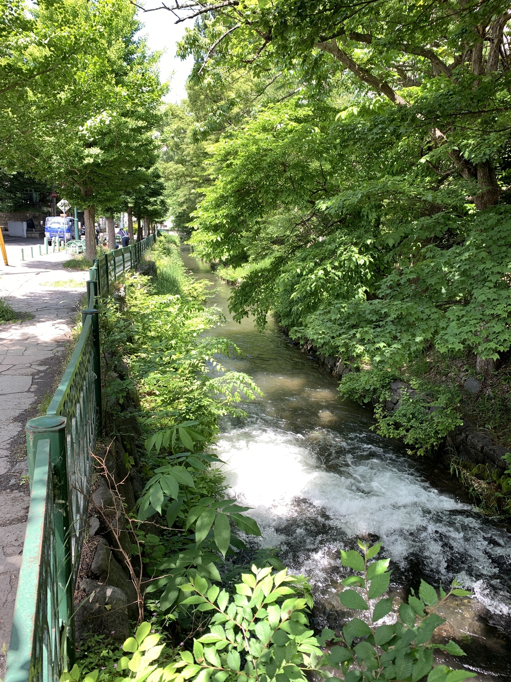 帰省ラン：札幌／豊平川〜創成川上流〜ビール園の写真9