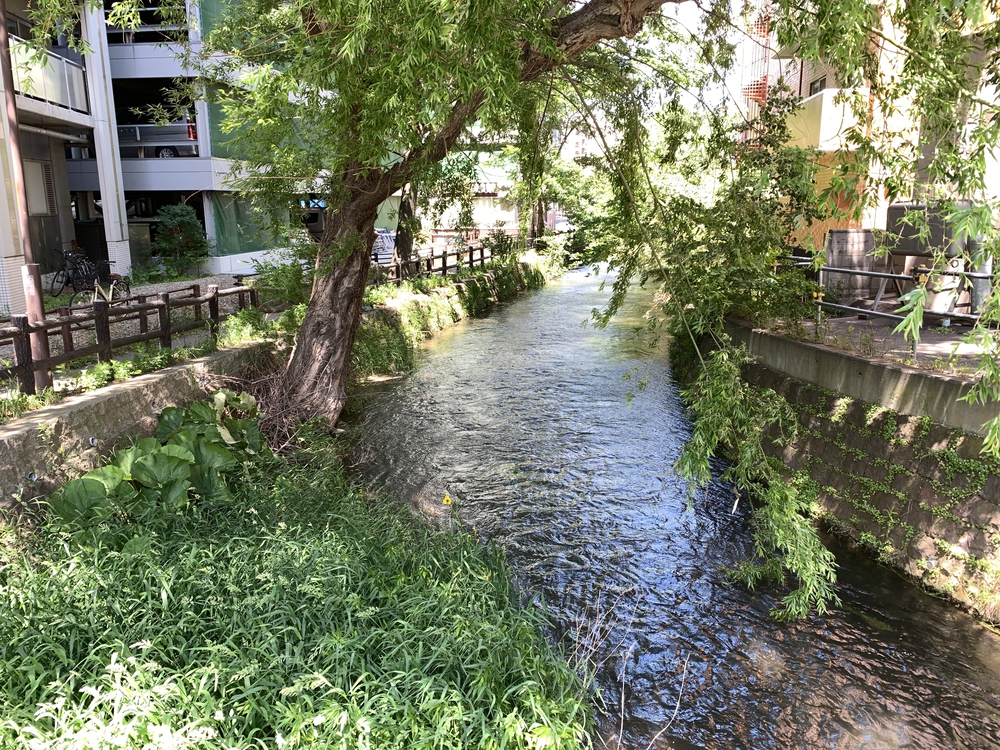 帰省ラン：札幌／豊平川〜創成川上流〜ビール園の写真12