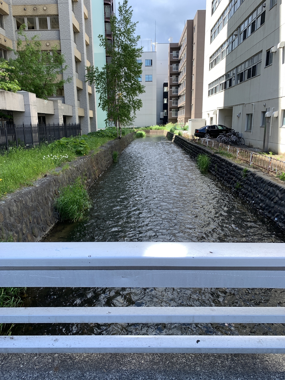 帰省ラン：札幌／豊平川〜創成川上流〜ビール園の写真13